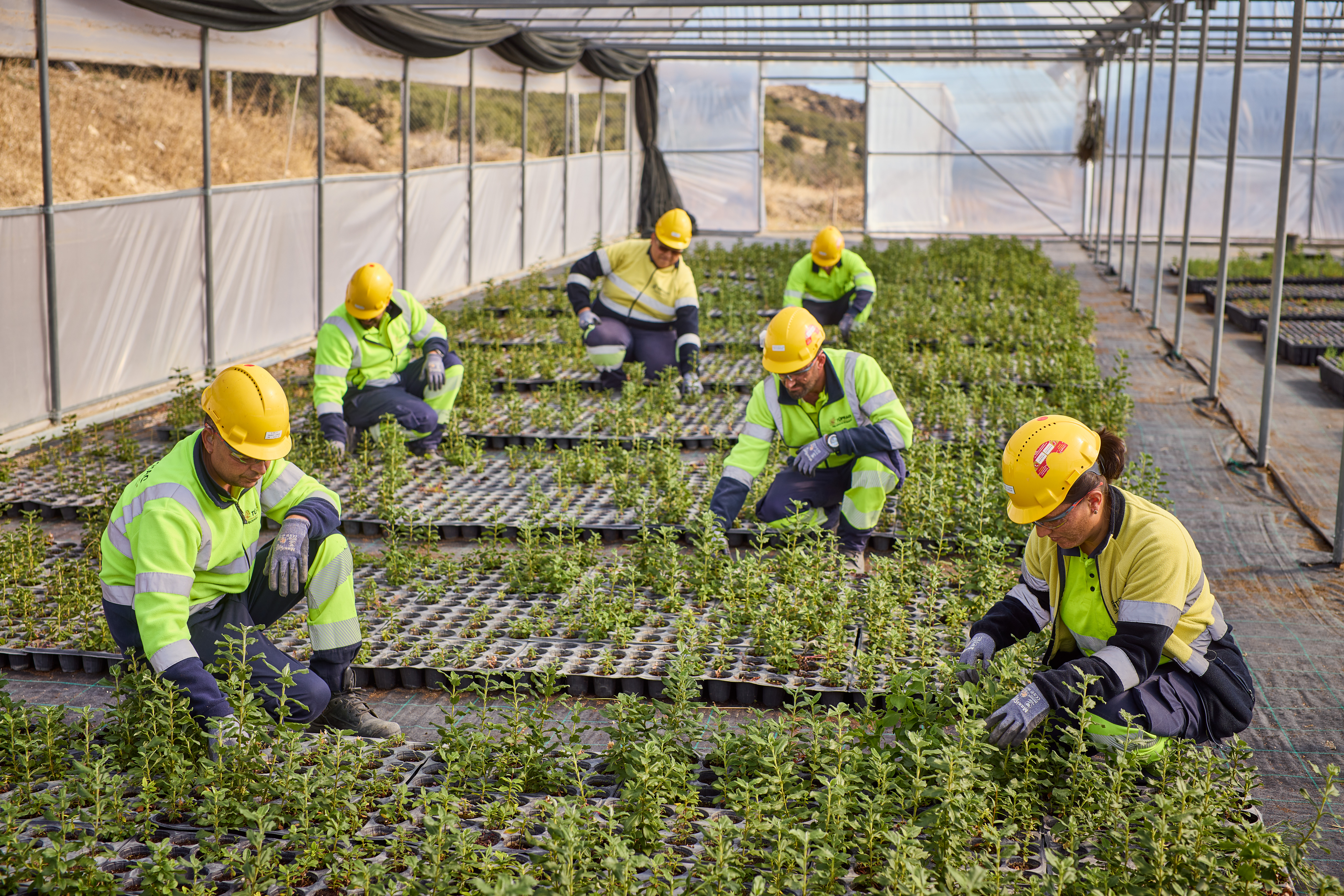 Sustainability Report 2025