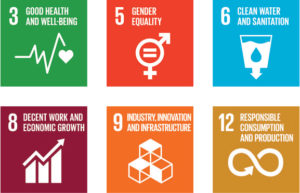 United nations sustainable development goals