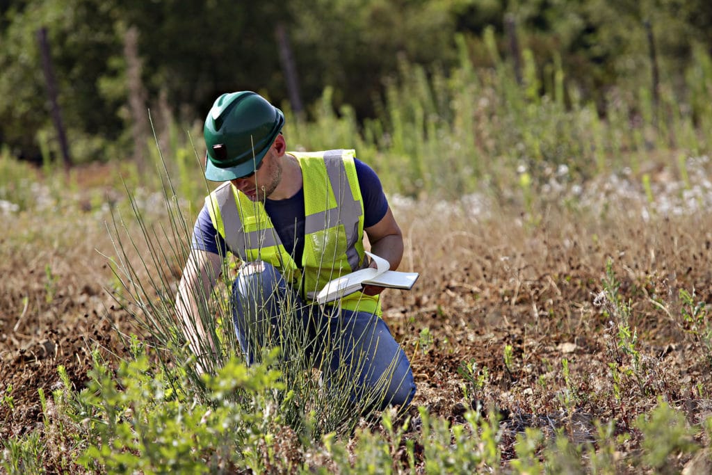 Our Mining Life Cycle: Outputs, Reclamation and Closure