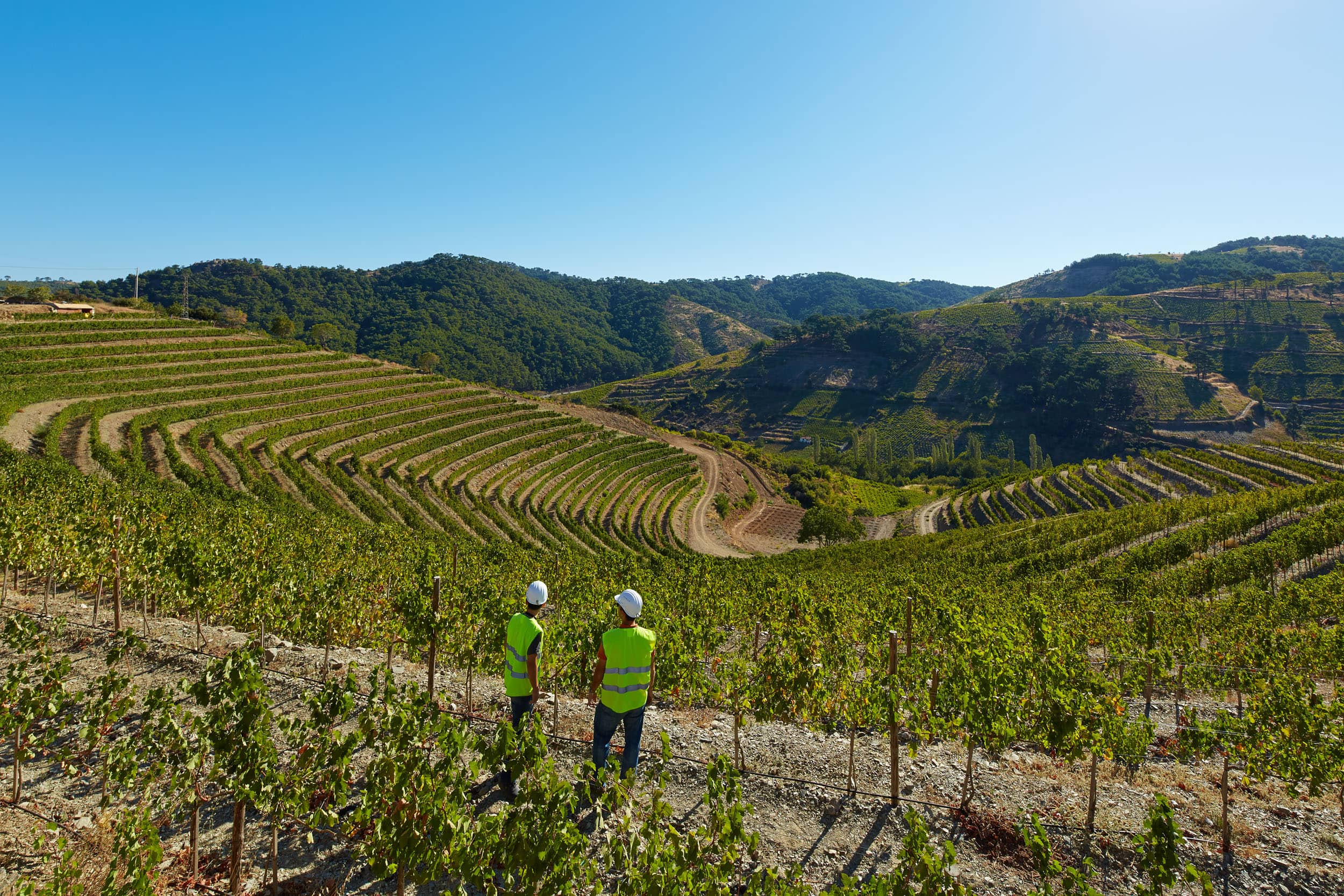 Great Neighbours: Mining and Agriculture Working Side-by-Side