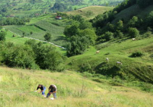 Exploration field work, Romania