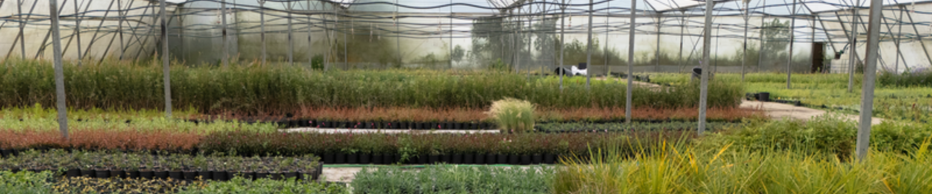 HEALTHY ENVIRONMENTS NOW AND FOR THE FUTURE