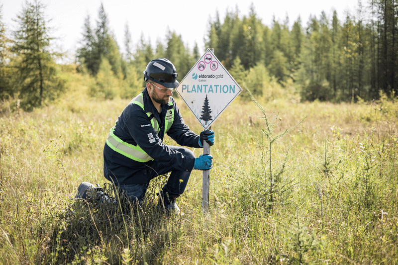 Healthy Environments Now & for the Future