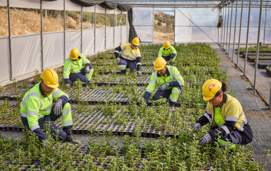 Sustainability Report 2025