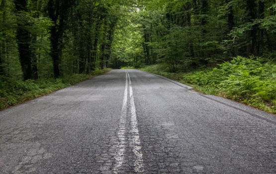 Forest Road
