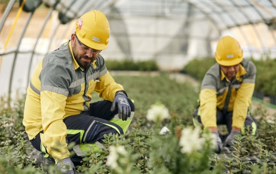 Sustainability from the Ground Up: what responsible mining means to us