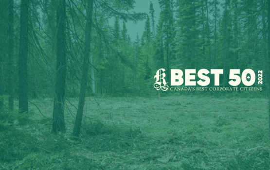 Eldorado Gold named one of Best 50 Corporate Citizens in Canada