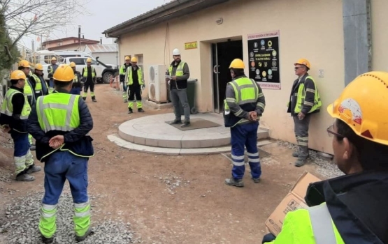 Collaborating to Flatten the COVID-19 Curve