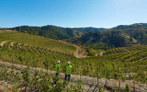 Sustainability from the Ground Up