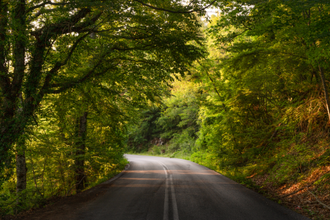 Road in Greece