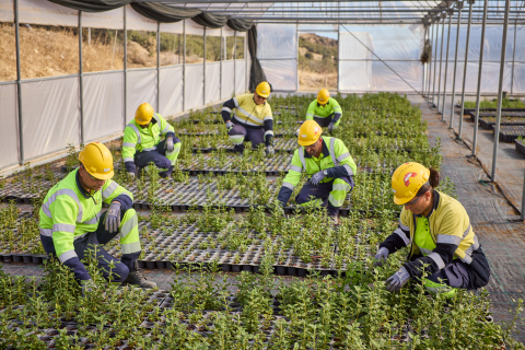 Sustainability Report 2025