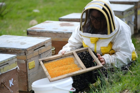 Support for Women Entrepreneurs in Türkiye